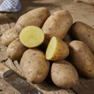 Nicola - Salad/Main Crop Seed Potatoes - Pack of 10