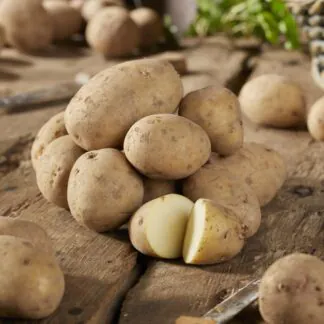 Maris Bard - First Early Seed Potatoes - Pack of 10