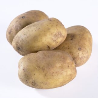 Pentland Javelin - First Early Seed Potatoes - Pack of 10