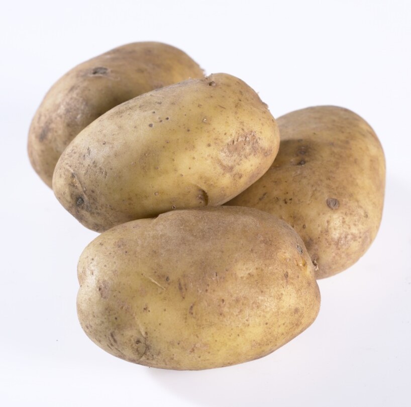 Pentland Javelin - First Early Seed Potatoes - Pack of 10