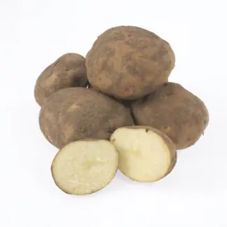 Cara - Main Crop Seed Potatoes - Pack of 10