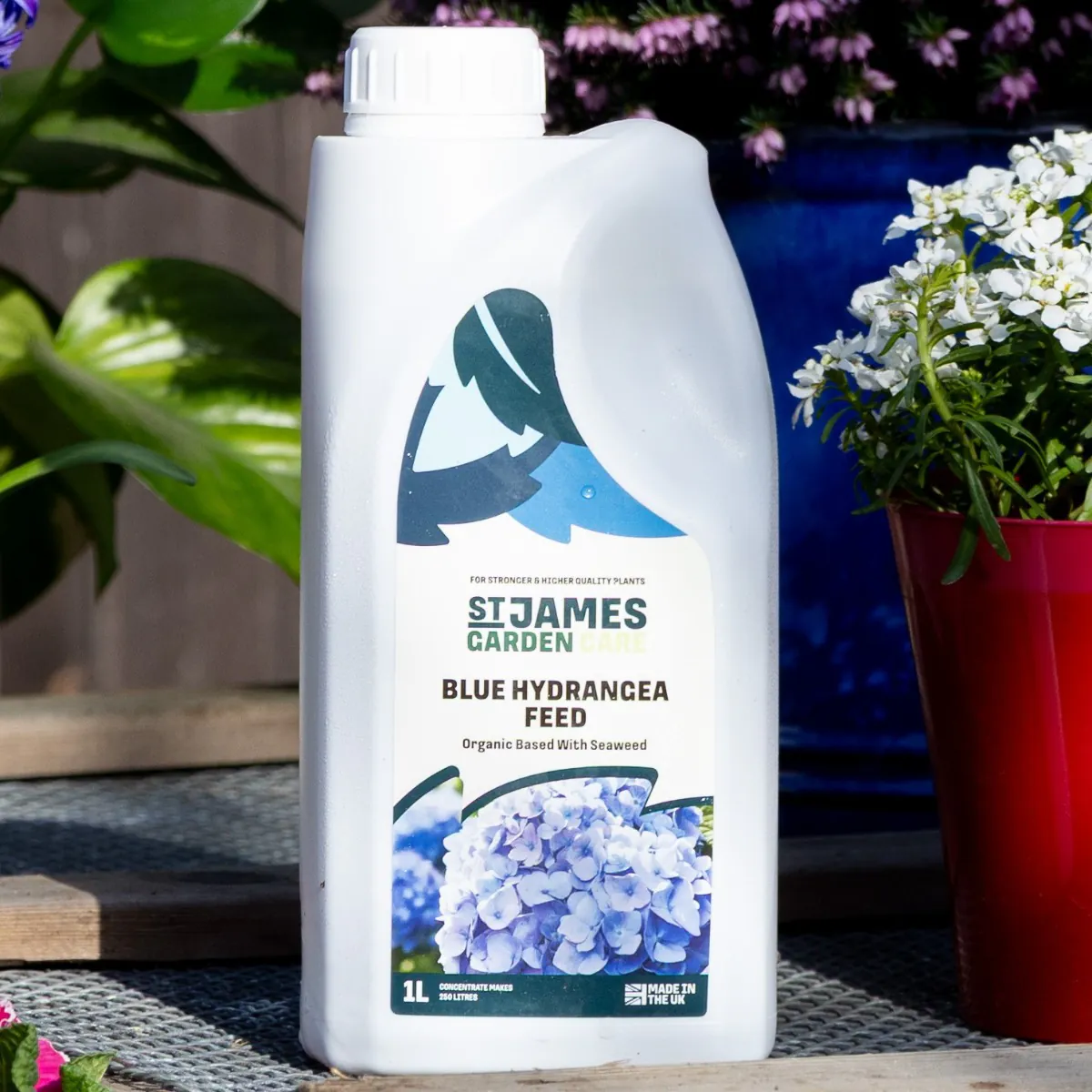 Blue & Purple Hydrangea Fertiliser – Special Organic Feed - Blue Hydrangea Plant Food