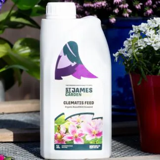 Clematis Fertiliser – Special Organic Feed For Clematis Plants