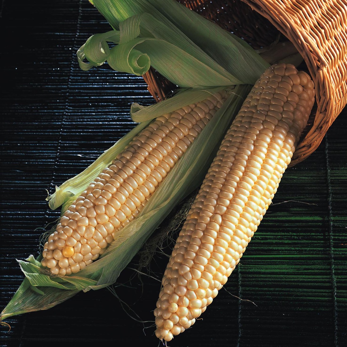 Sweetcorn Plant 'Northern Extra Sweet'