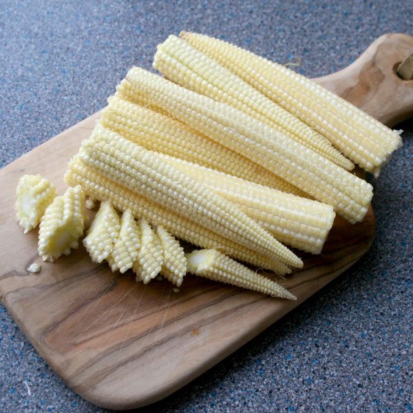 Sweetcorn Plant 'Minipop' - Baby Sweetcorn