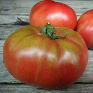 Tomato Plant 'Black Mamba'
