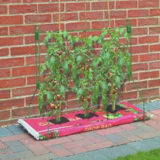 Gro Bag Frame - Support Frame For Vegetable Growing Bags