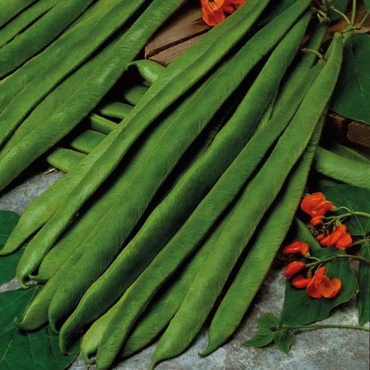 Runner Bean Crusader