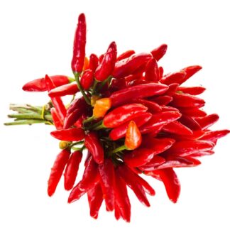 Chilli Pepper Plant 'Piccante a Mazzetti' (Dwarf)
