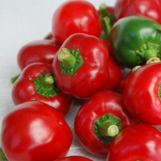 Sweet Pepper 'Sweet Red Cherry'