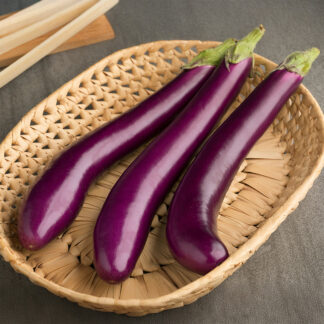 Aubergine Plant 'Italian Long Purple'