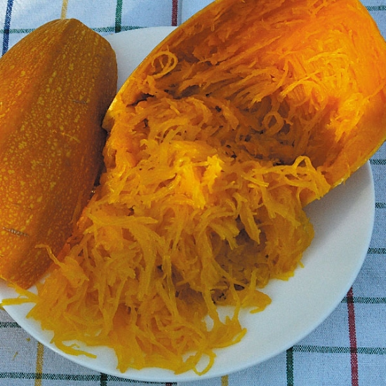 Winter Squash Plant 'Vegetable Spaghetti'