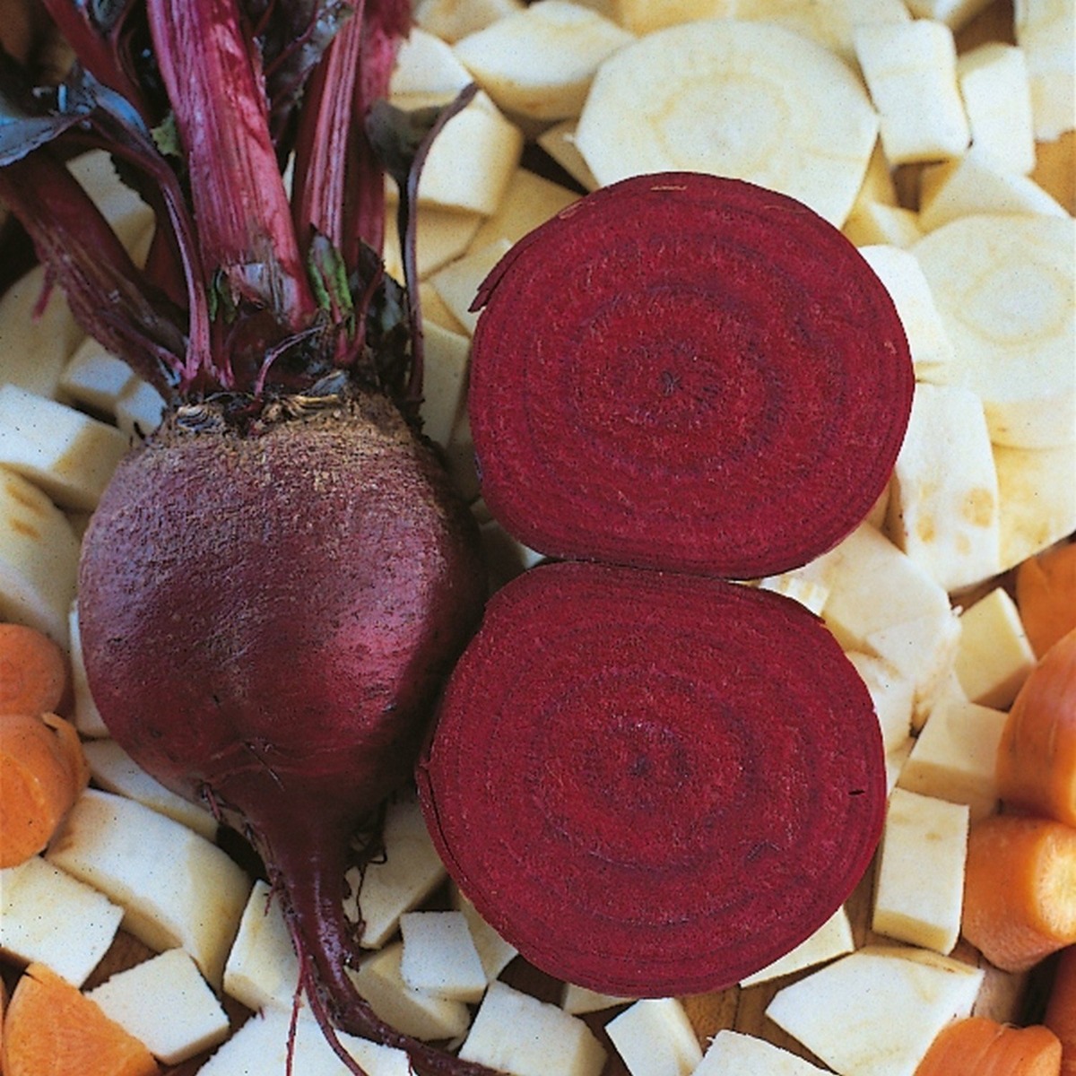 Beetroot Plant 'Detroit 2'