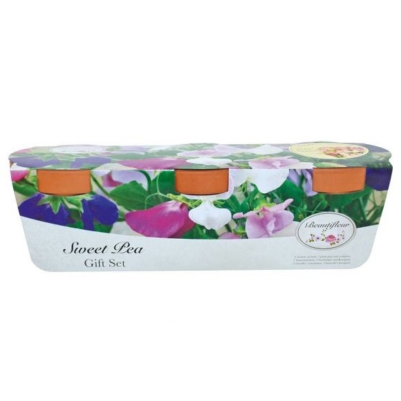 Sweet Pea Terracotta Grow Set - Cupid Colour Mixture And Cupid White