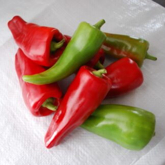 Sweet Pepper Plant 'Cubanelle'