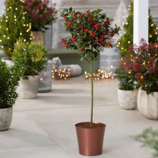 Medium Copper Plastic Plant Cover Pot - 14.5cm Diameter