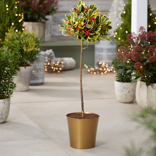 Small Gold Plastic Plant Cover Pot - 9.5cm Diameter