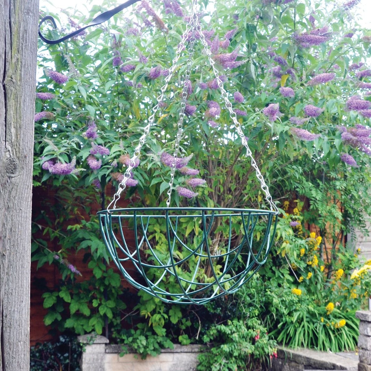 Hanging Basket - 12 Inch