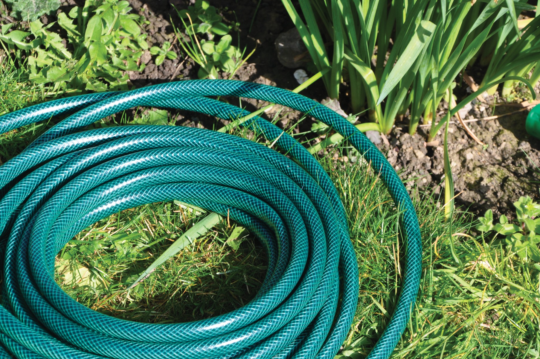 Standard Garden Hose - 30m
